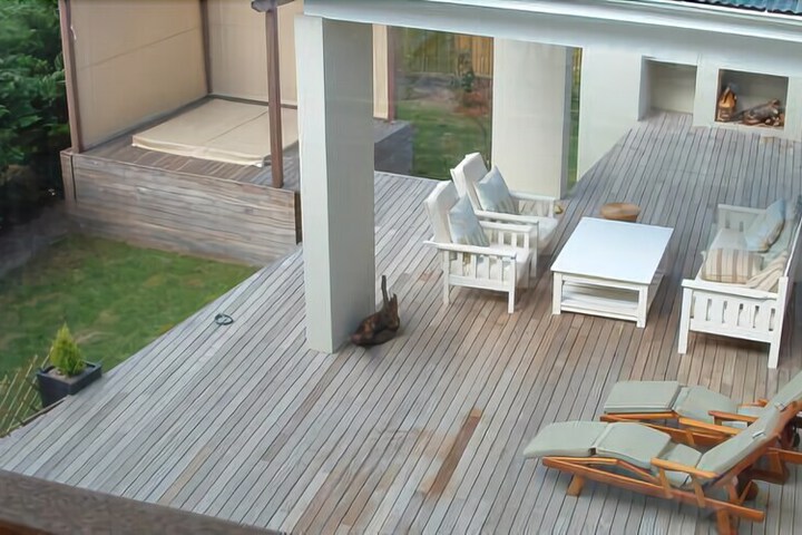 Standard Suite