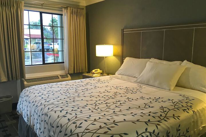 Queen Bed Accessible (6 of 45)