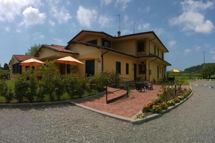 Cecco di Nara