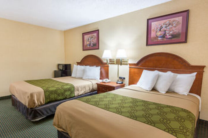 Standard Suite