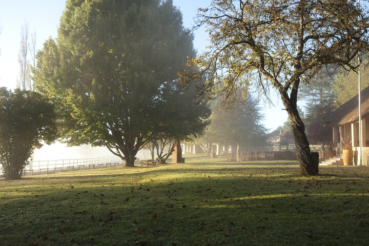Property Grounds 175 of 299
