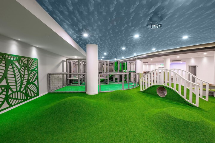 Childrens Activities 74 of 152
