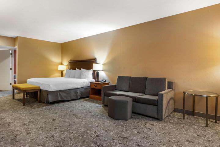 Suite 1 King Bed Wet Bar Microwave and Refrigerator WiFi Full Breakfast (10 of 18)