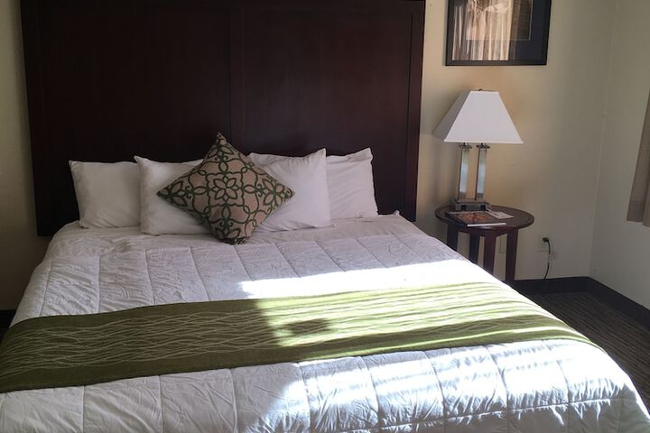 Suite Accessible Queen Size Bed (4 of 21)