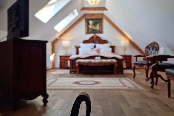 Room 12 of 50