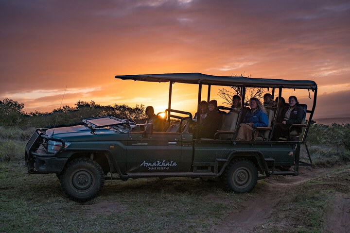 Safari