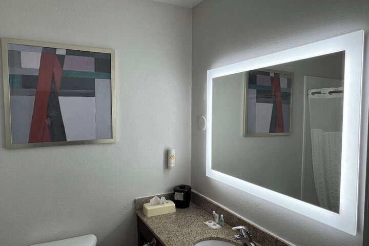 1 King Bed Suite (5 of 23)