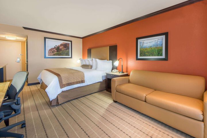 1 King Bed with Sofa Bed (15 of 17)