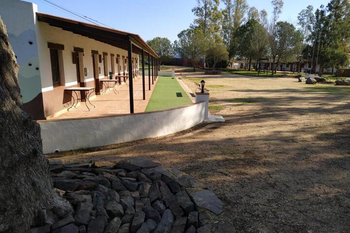 Photo 19