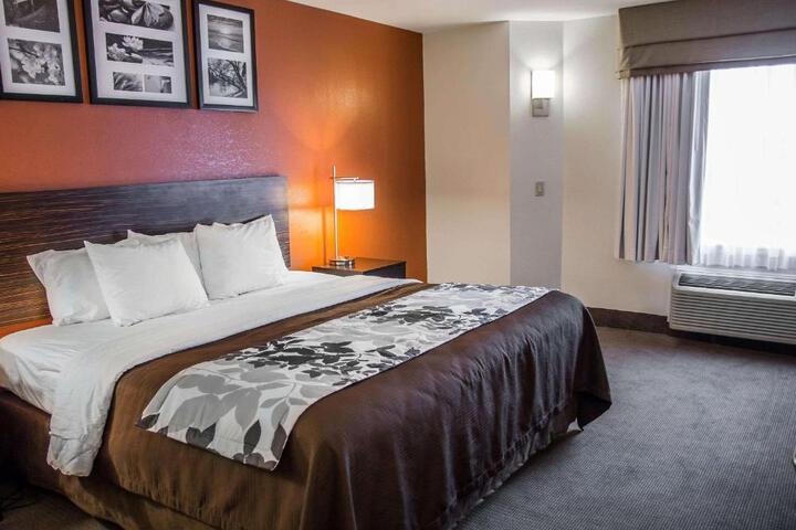 Standard Room, King or Two Doubles