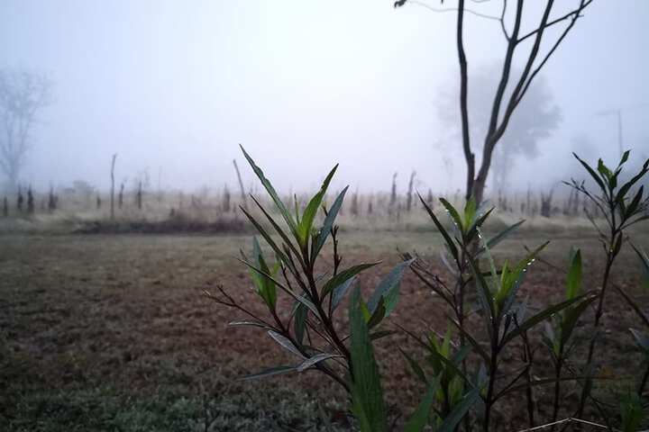 Property Grounds 12 of 23