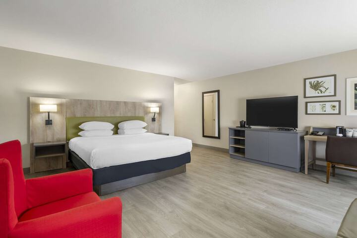 1 King Bed (1 of 14)
