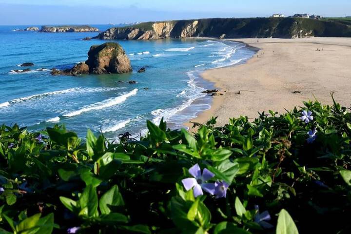 Beach 53 of 60
