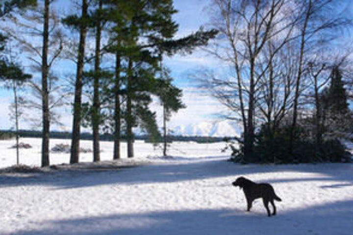 Property Grounds 28 of 32