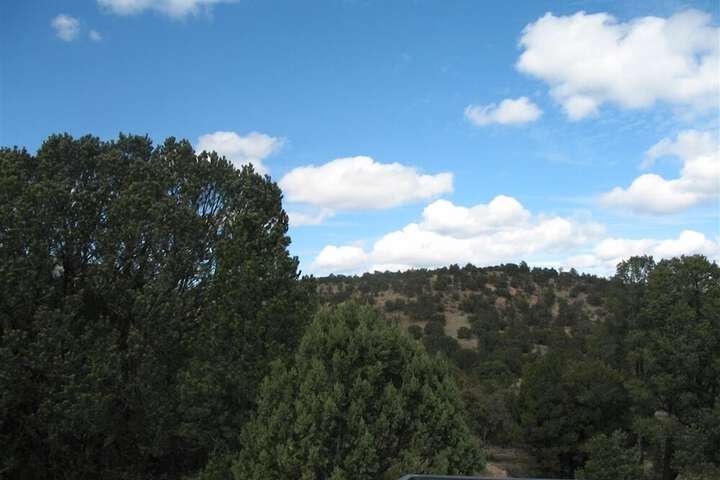 Property Grounds 64 of 81