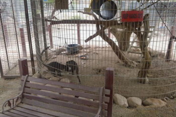 Childrens Activities 36 of 145