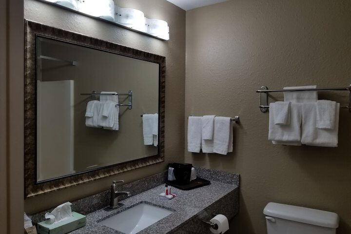 1 King Bed Mobility Accessible (8 of 27)