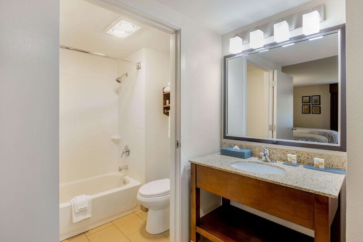 1 King Bed Mobility Accessible (11 of 17)