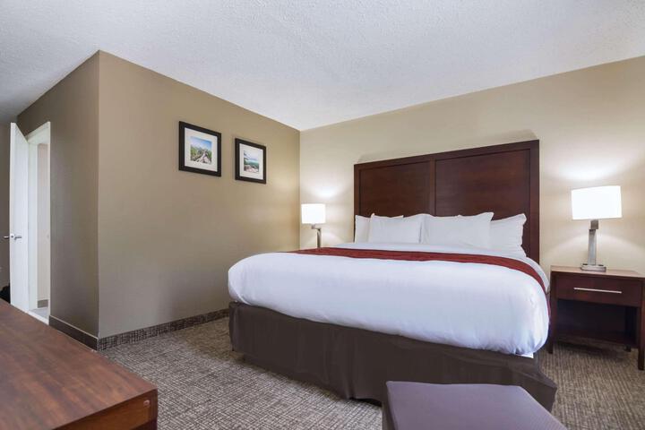 1 King Bed (14 of 19)