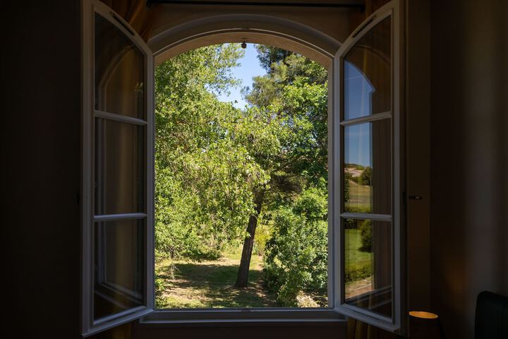 View from room
