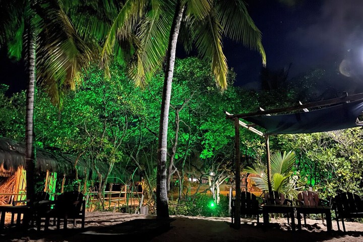 Beach 65 of 82