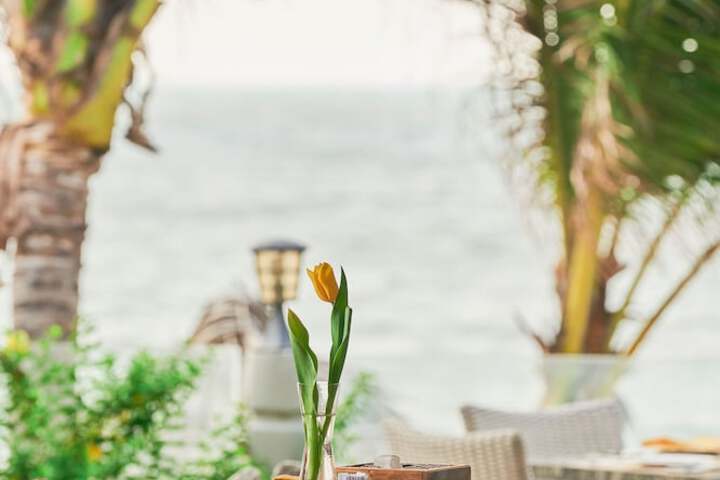 Dining 137 of 167