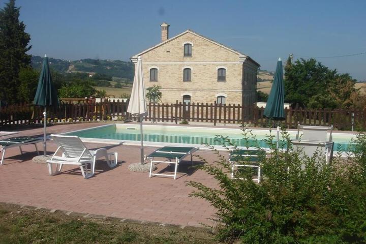 Photo 8