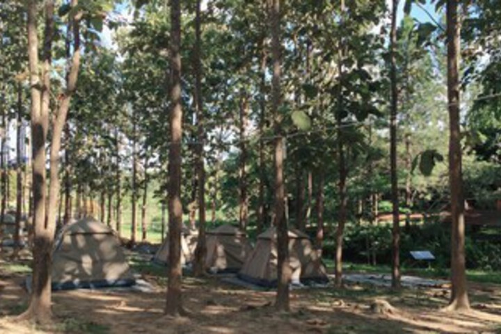 Property Grounds 36 of 37