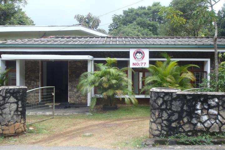 Kandy City Monkey Hostel