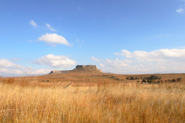 Property Grounds 146 of 198