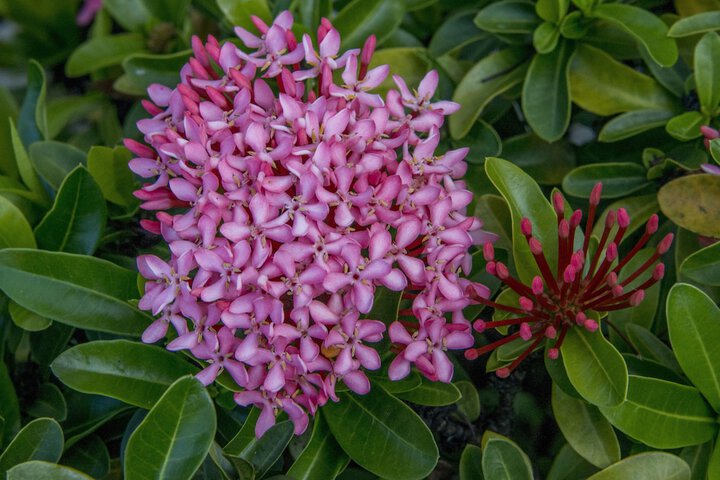 Hotel Exterior 56 of 62