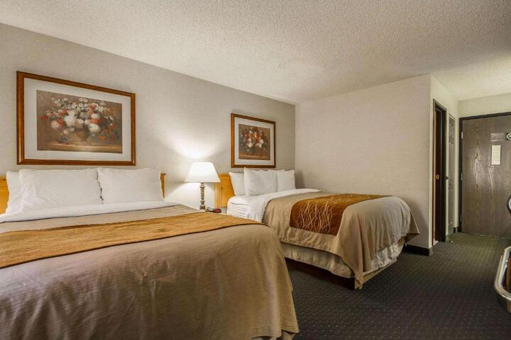 2 Double Beds (6 of 8)