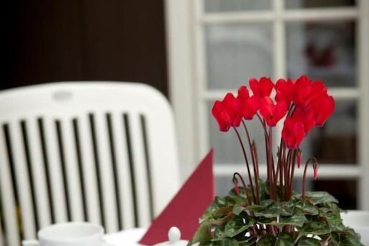 Dining Photos