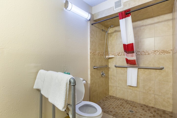 ADA Accessible Deluxe King with Roll in Shower (1 of 13)