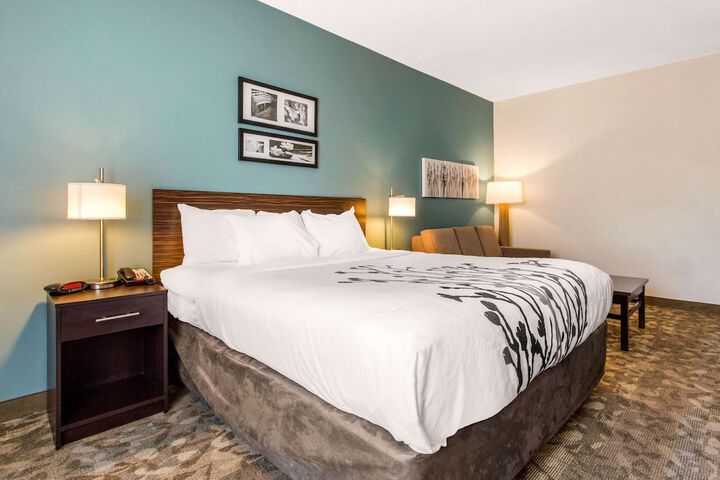 1 King Bed (6 of 17)