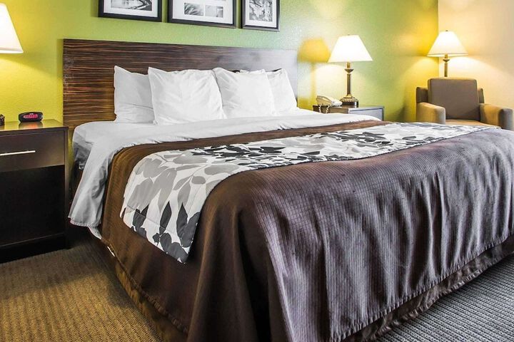 1 King Bed (16 of 29)
