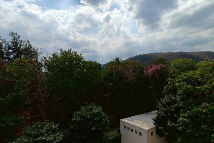Photo 5