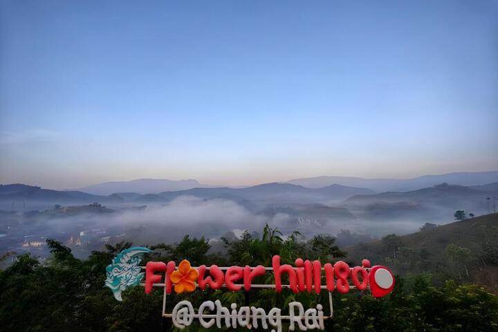 Flower hill 180