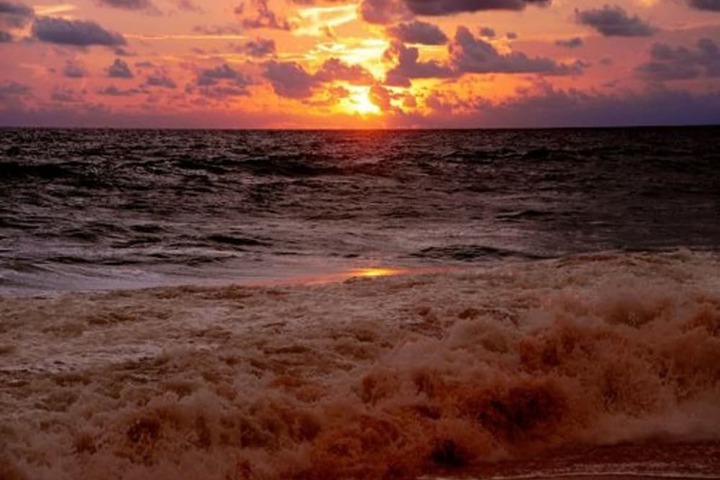 Beach 47 of 63