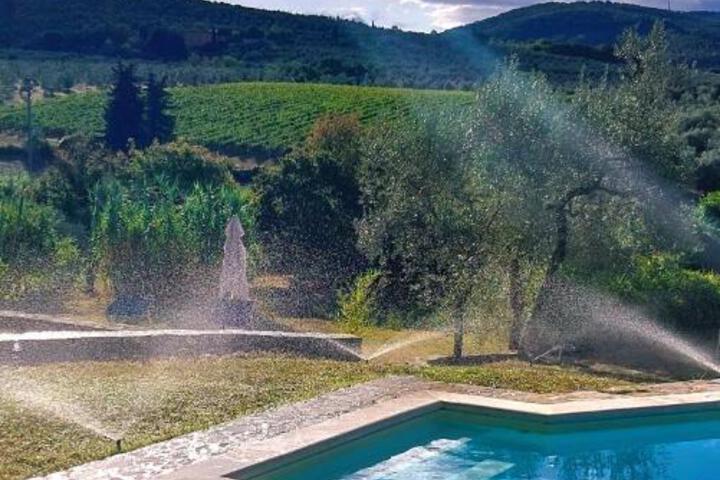 Spa and Wellness Pictures