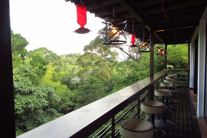 Terrace/Patio 21 of 23