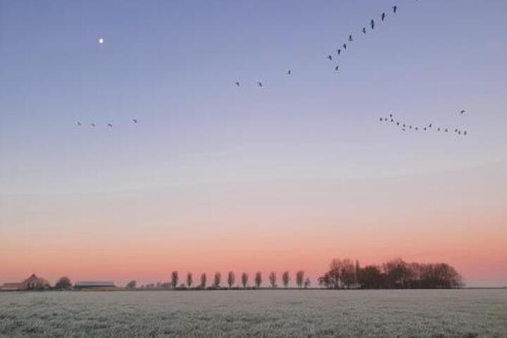 DE GELUKSKEVER