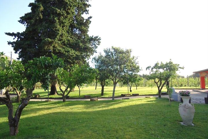 Property Grounds 24 of 38