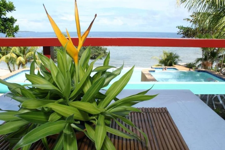Pool 12 of 22
