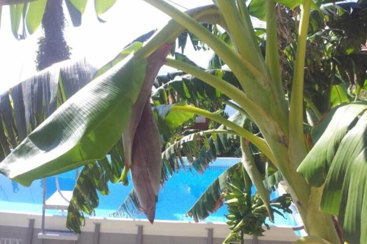 Pool 21 of 26