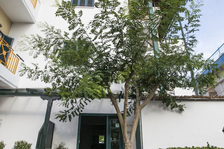 Hotel 50 of 56