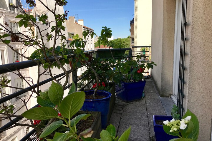 Terrace/Patio 42 of 76