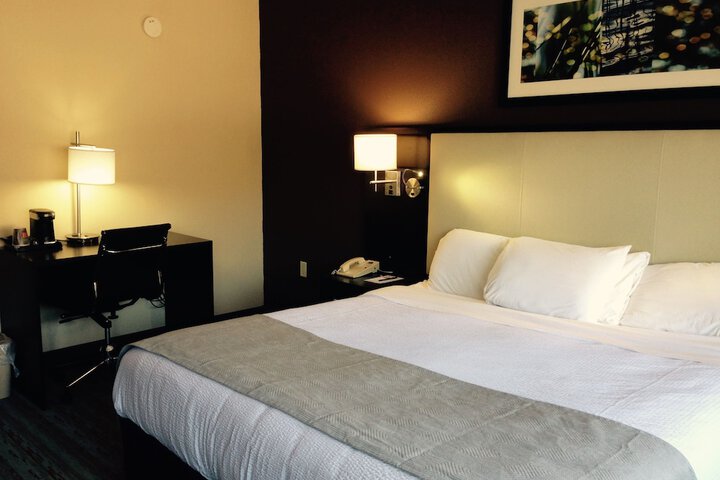 Deluxe King Bed (1 of 10)