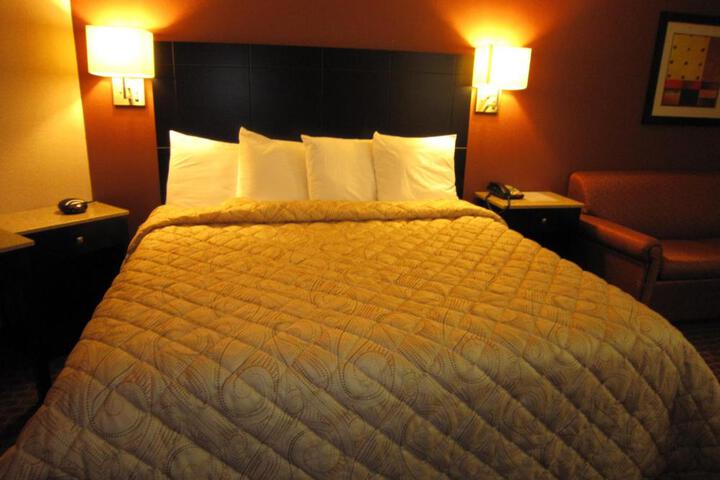 Standard | King Bed (2 of 16)