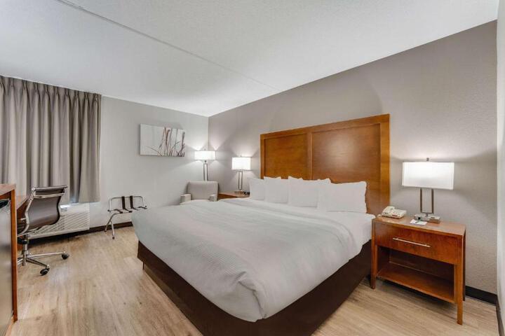 1 King Bed (9 of 13)